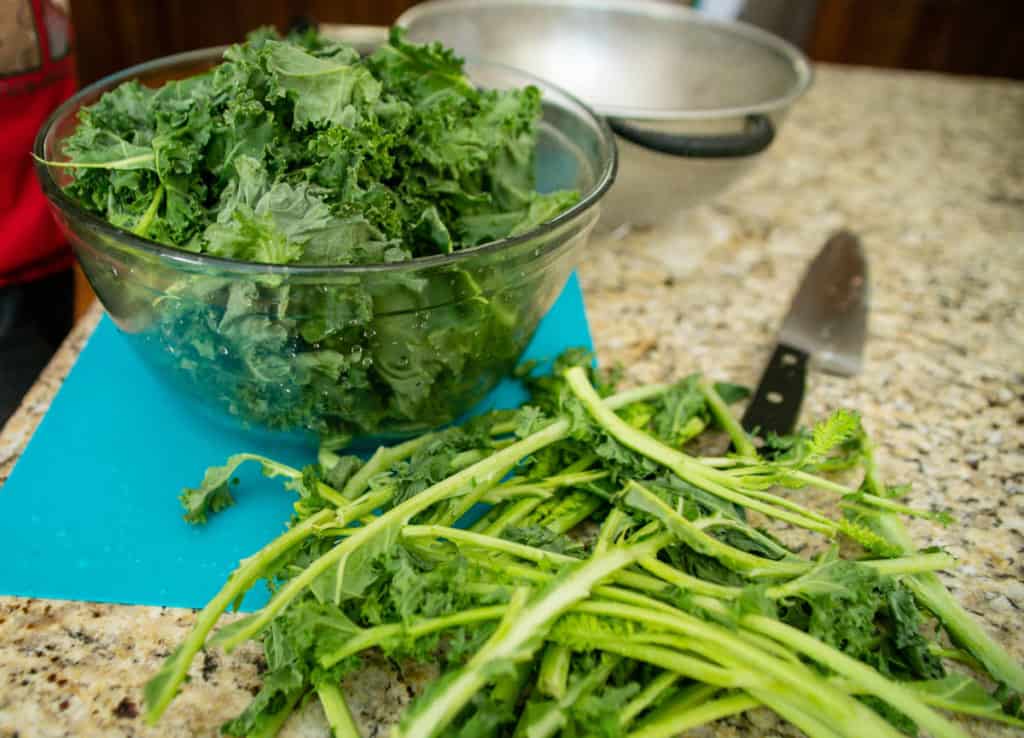 Discard Kale Stems