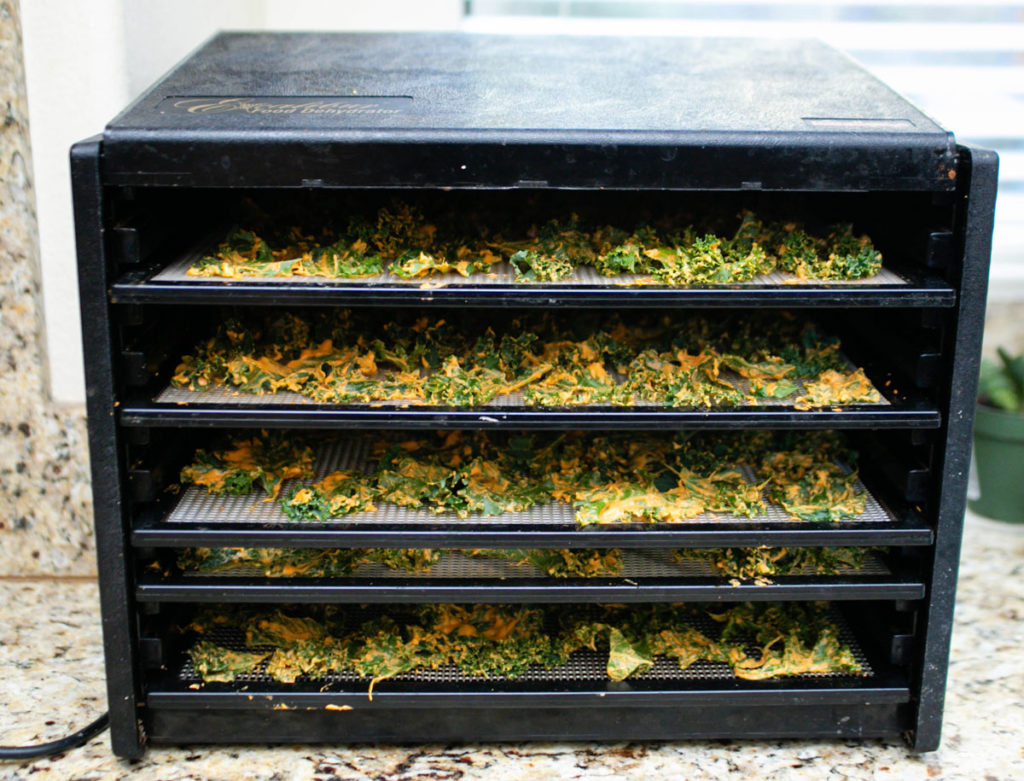 Fill up trays of dehydrator